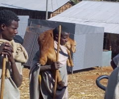 dscn0426_edited-1 dscn0426_edited-1