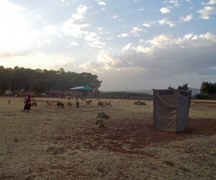 dscn0470_edited-1 dscn0470_edited-1