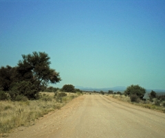 sam_0056_edited-1 sam_0056_edited-1