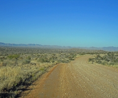 sam_0061_edited-1 sam_0061_edited-1