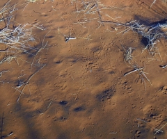 sam_0095_edited-1 sam_0095_edited-1