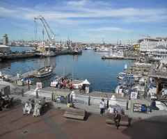 sam_0270_edited-1