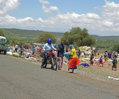 dscn0308_edited-1 dscn0308_edited-1