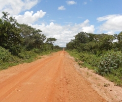 dscn0351_edited-1 dscn0351_edited-1